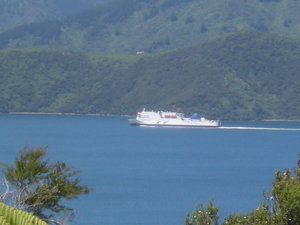 49. Ferry Leaving Picton for N Island