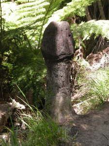 53. The Penis Shaped Tree