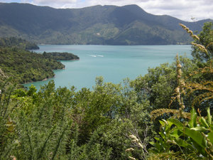 28. Kenepuru Sound from Te Mahia Saddle
