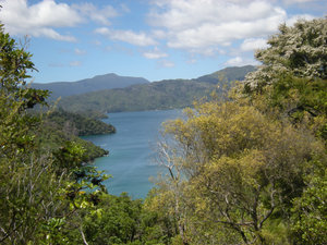 29. Kenepuru Sound from Te Mahia Saddle