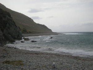 55. Cable Bay
