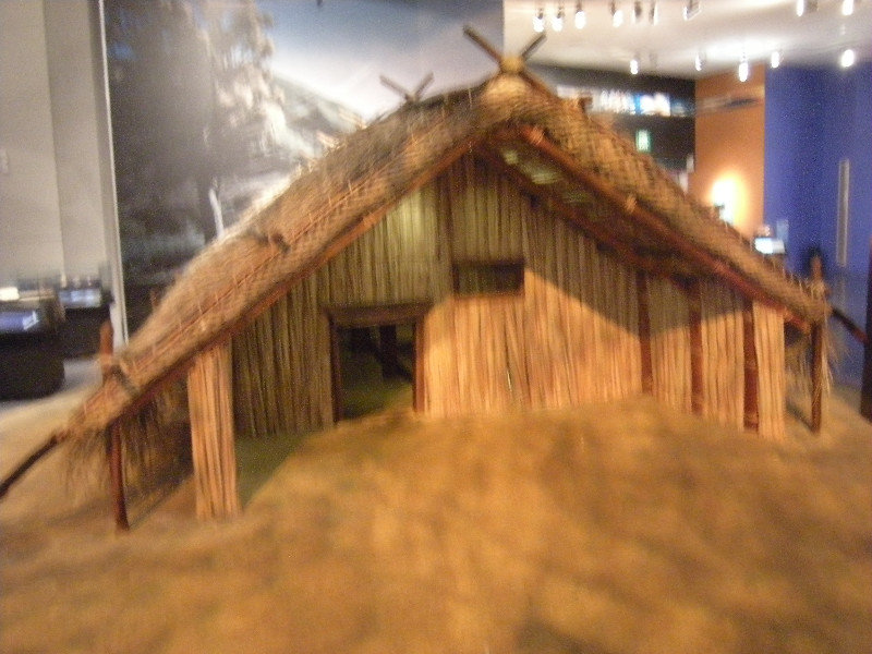 9. Maori Hut Te Papa Museum