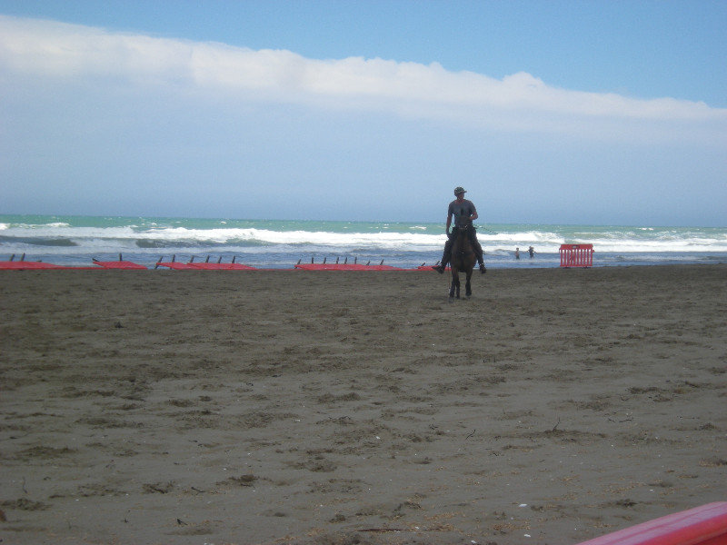 10. Polo Practise at Porangahau Beach