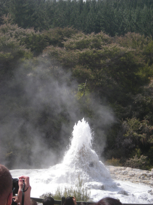 2. Lady Knox Geyser Starting to Bubble
