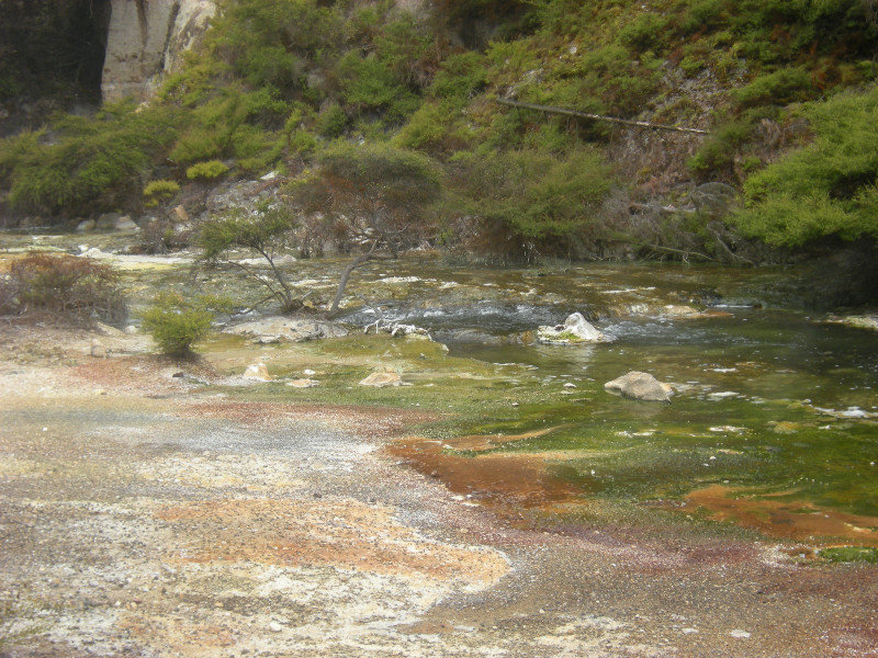 34. Hot Water Creek & Springs, Waimangu Volcanic Valley