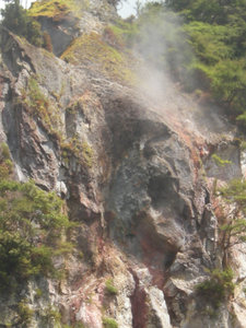 31 Cathedral Rocks, Waimangu Volcanic Valley