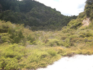 33. Site of Waimangu Geyser, Waimangu Volcanic Valley
