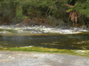 37. Hot Water Creek & Springs, Waimangu Volcanic Valley