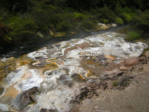39. Hot Springs of Mother Earth, Waimangu Volcanic Valley