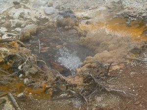 40. Hot Springs of Mother Earth, Waimangu Volcanic Valley