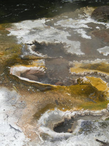 42. Hot Springs of Mother Earth, Waimangu Volcanic Valley