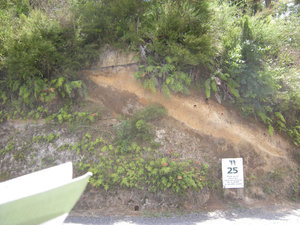 62  Soil Layers, Waimangu Volcanic Valley