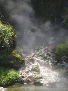 63. Hot Springs, Waimangu Volcanic Valley