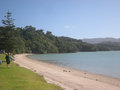 2. The beach near Coromandel Town
