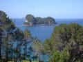 29. View from the Cathedral Cove Track