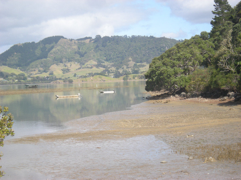 8. Oyster Beds at  Whangaroa Harbour