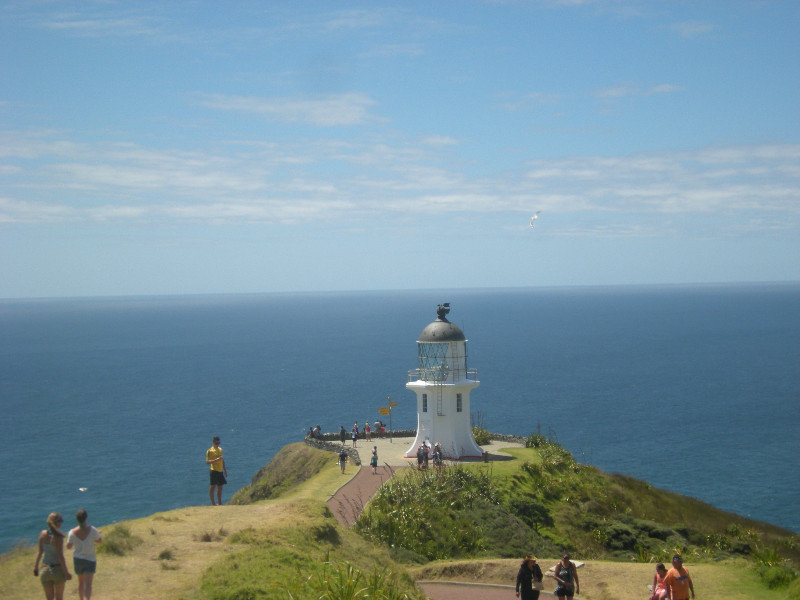 64.  View from Track to Cape Reinga Lighthouse
