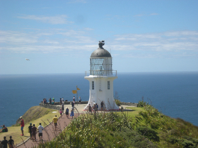 65.  View from Track to Cape Reinga Lighthouse