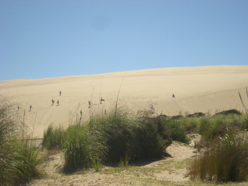 73. Sand Surfers on the Dunes