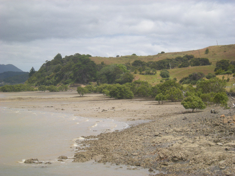 8. View from Hokianga Vehicle Ferry