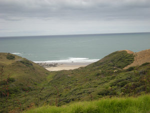 18. View from Waimamaku Coastal Track