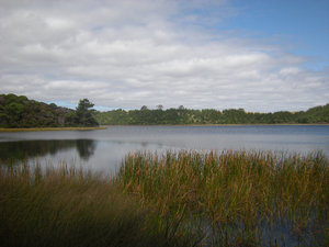 62.  Lake Kai Iwi, Kai Iwi Lakes