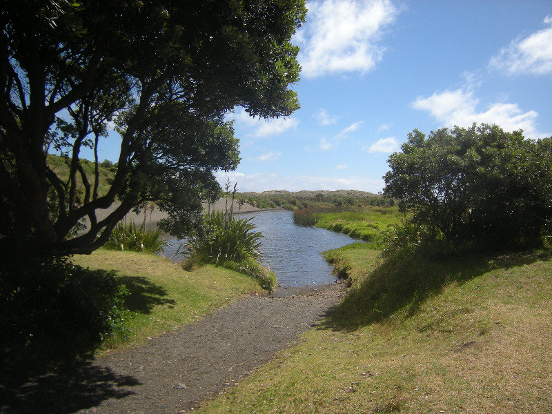 31. The River at Karekare Beach Conservation Area