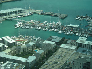 25. The Marina  from  The Sky Tower
