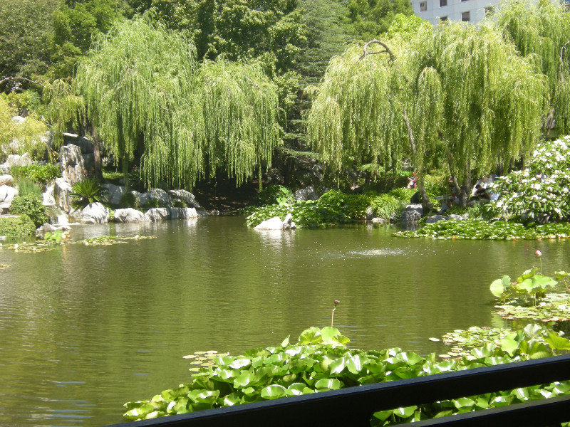 5. Lake of Brightness, Chinese Gardens