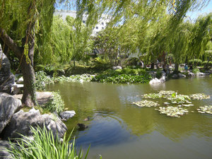 21. Lake of Brightness, Chinese Gardens, Sydney