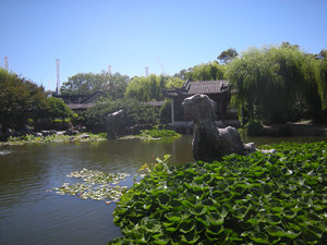 22. The Lotus Pond, Chinese Gardens, Sydney