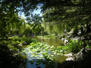 26. Lake of Brightness, Chinese Gardens, Sydney