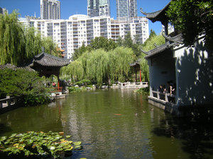 28. Lotus Pond, Chinese Gardens, Sydney