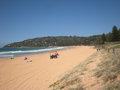 5. Palm Beach, Home and Away Location