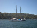 49. View from the Pittwater Ferry