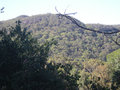 55. View from the Pittwater YHA Terrace