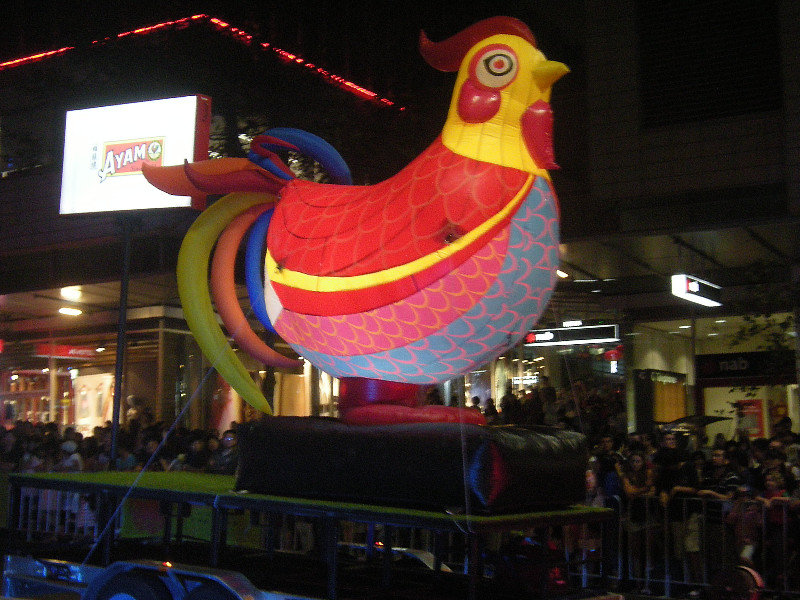 51. The Cock