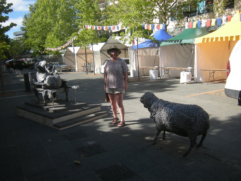 1. M with the Sheep Sculpures in Canberra CBD