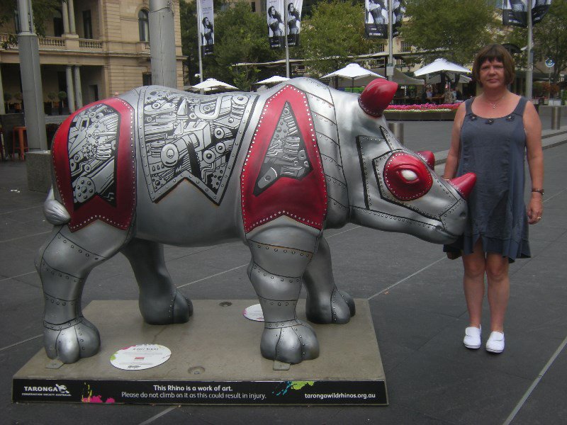 1. Another Rhino on the  Rhino Trail.  This one is outside the Customs House