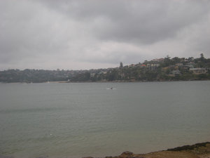 43. Manly Scenic Walkway