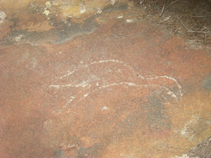 31. Aboriginal Carvings -  Manly to Spit Walk
