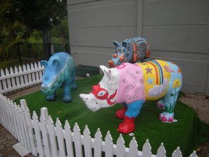 1. Rhinos at the Zoo