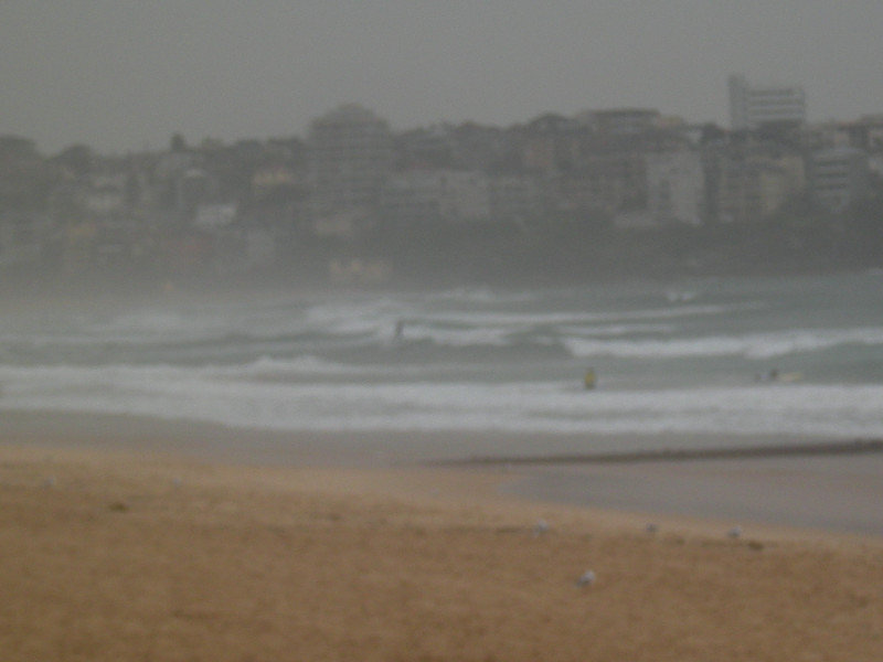 2. Surfing Finals at Manly