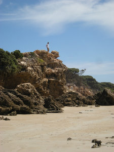 20. Chris the Mountain Goat, The Surf Coast, Great Ocean Road