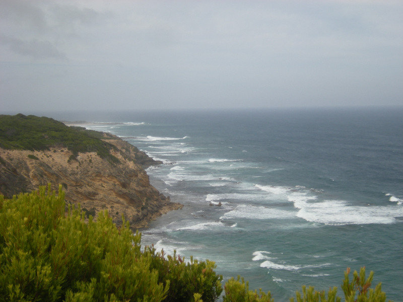 36.  View from Cape Otway
