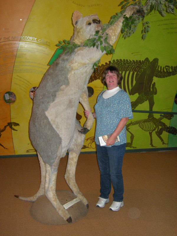 10. M with the Giant Leaf Eating Kangaroo Model,  Naracoorte Caves Complex
