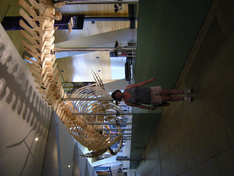 15. M with Pigmy Glue Whale Skeleton