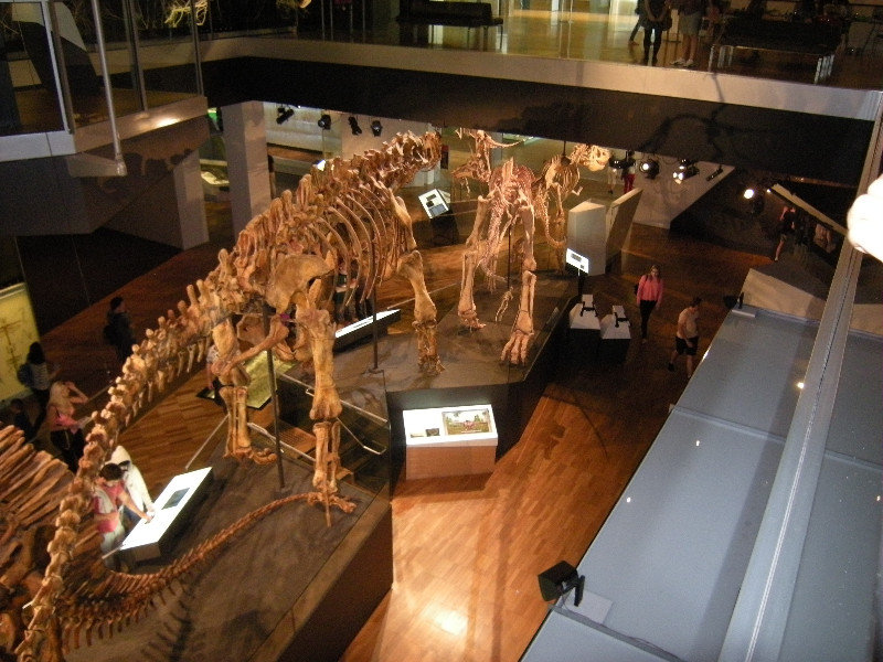 22. Dinosaur Walk, Melbourne Museum from Above