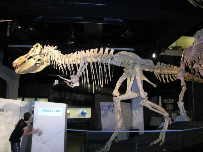 41. Dinosaur Walk, Melbourne Museum