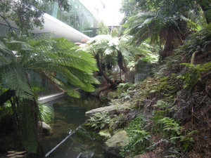 31. Forest Gallery, Melbourne Museum